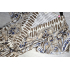 Dames jurk print blauw